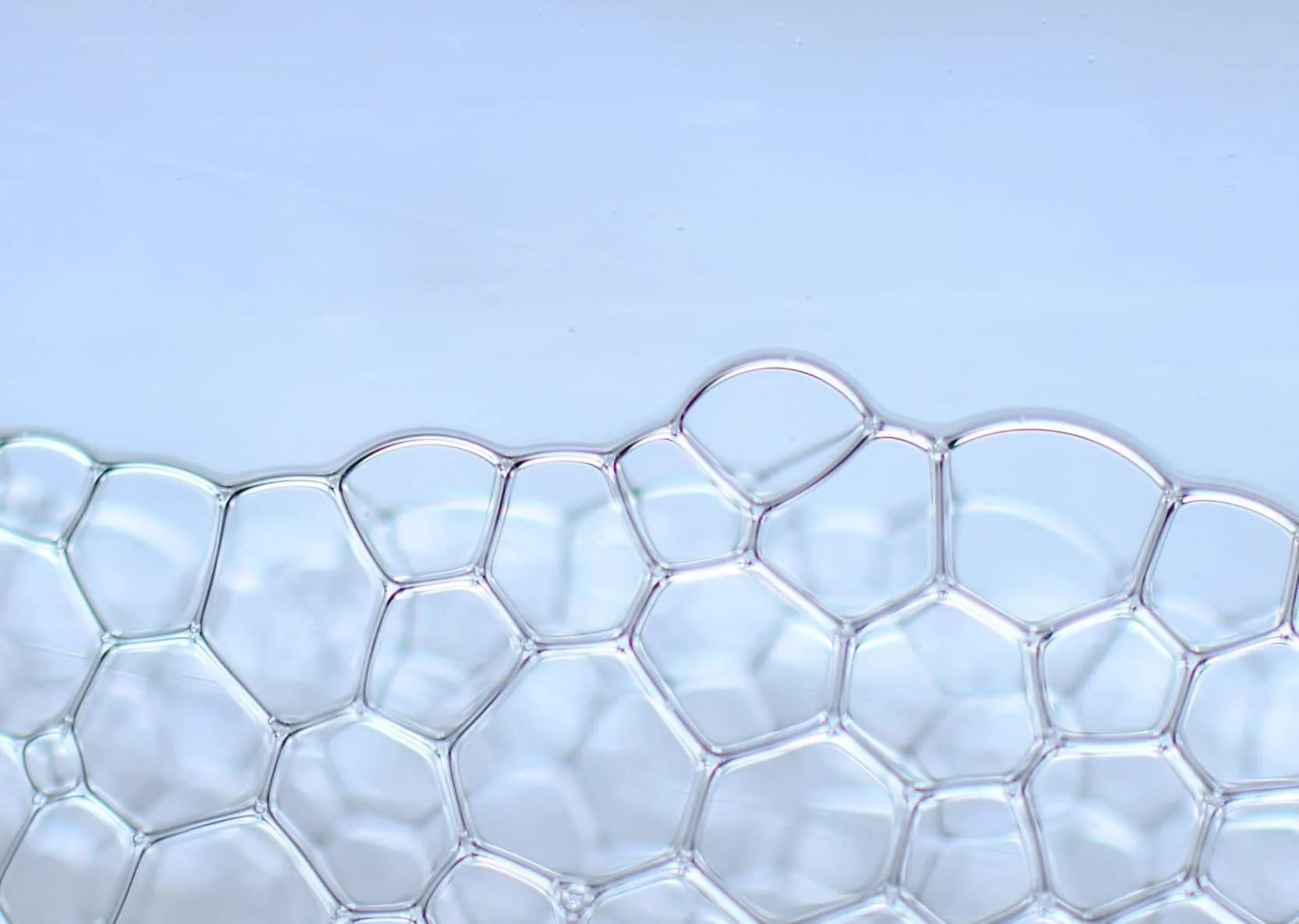 antisperm antibodies