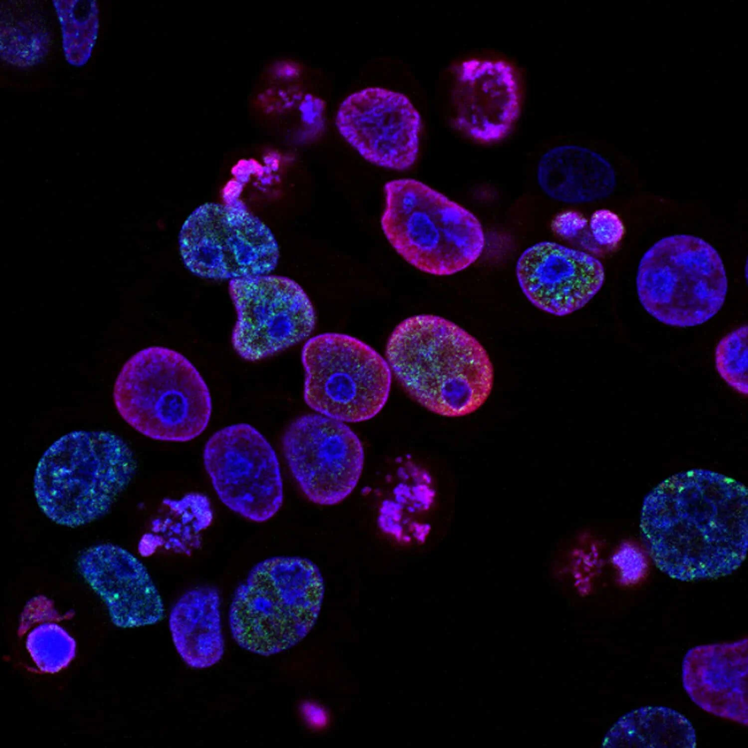 Epigenetic inheritance: Can fathers pass on experiences through their genes?