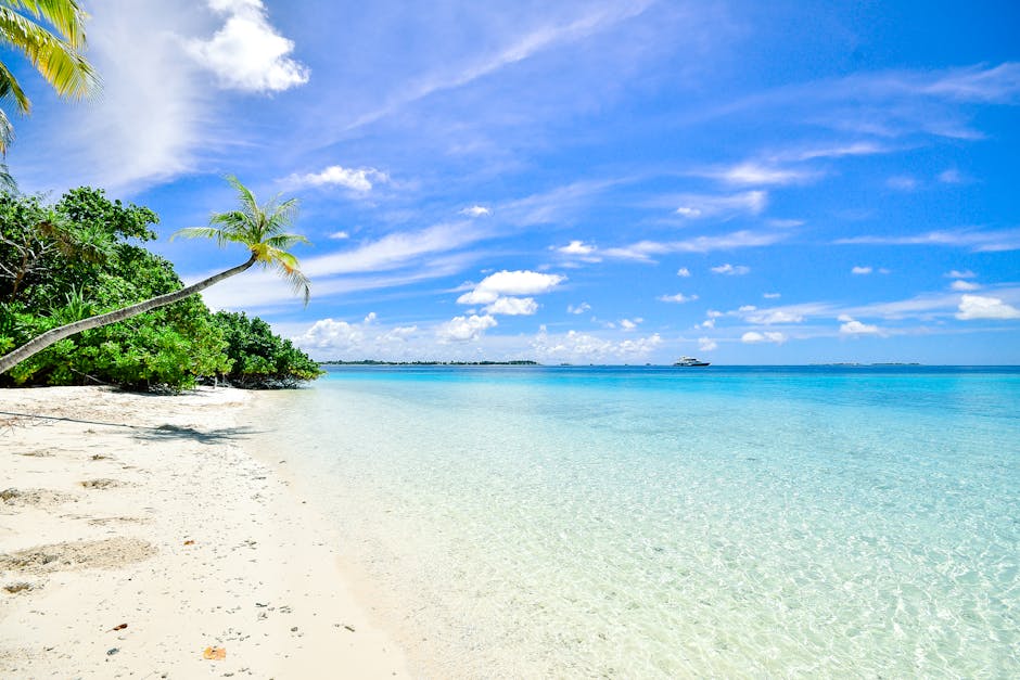 The Best RV Parks in North Florida