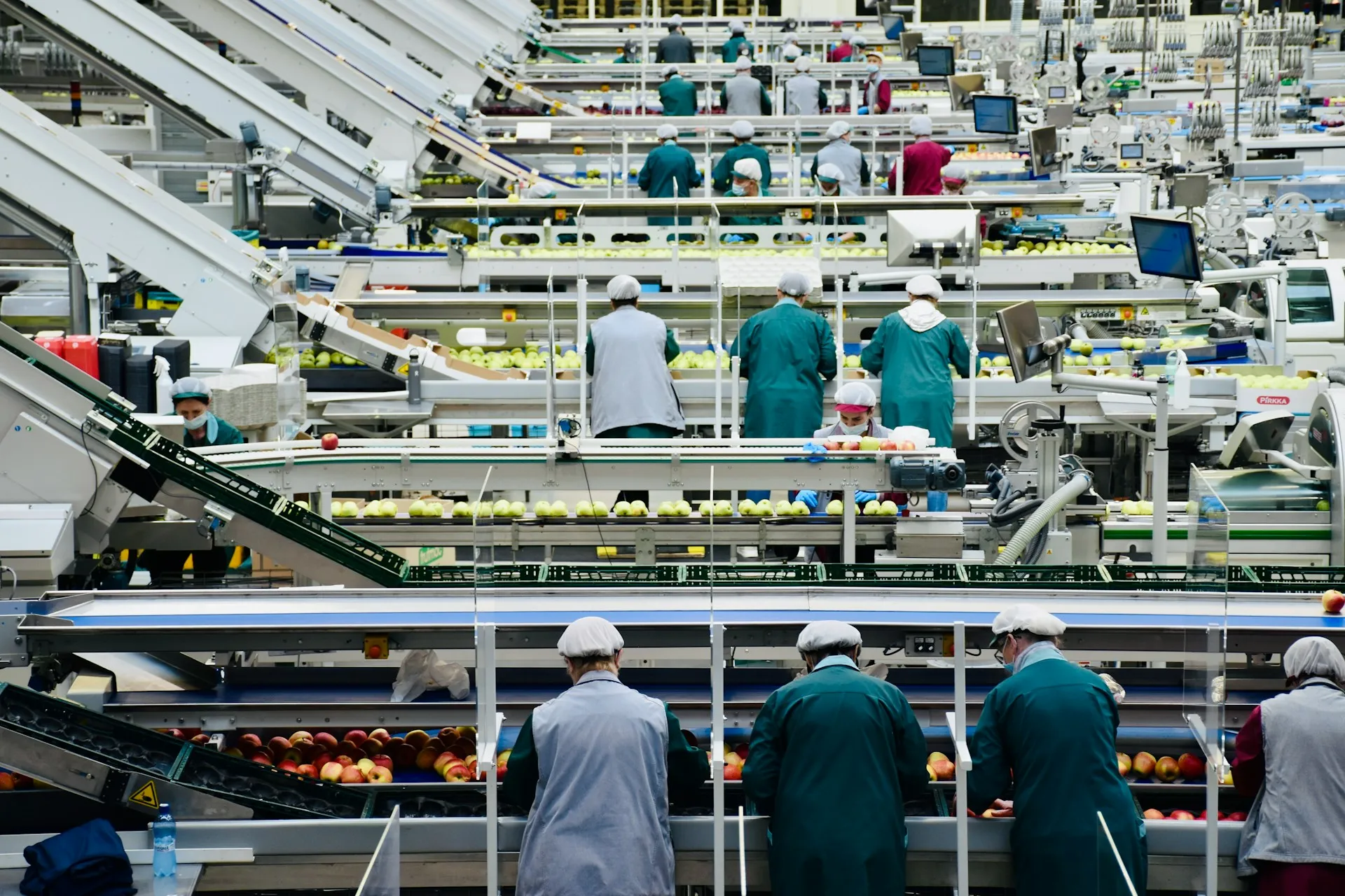 Workers wearing uniforms and hairnets sorting apples on conveyor belts in a large fruit processing factory.