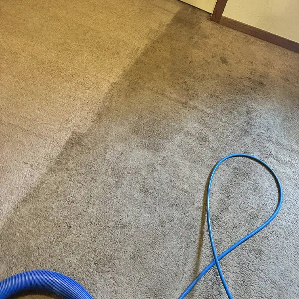 Carpet Cleaning Before and After Photo