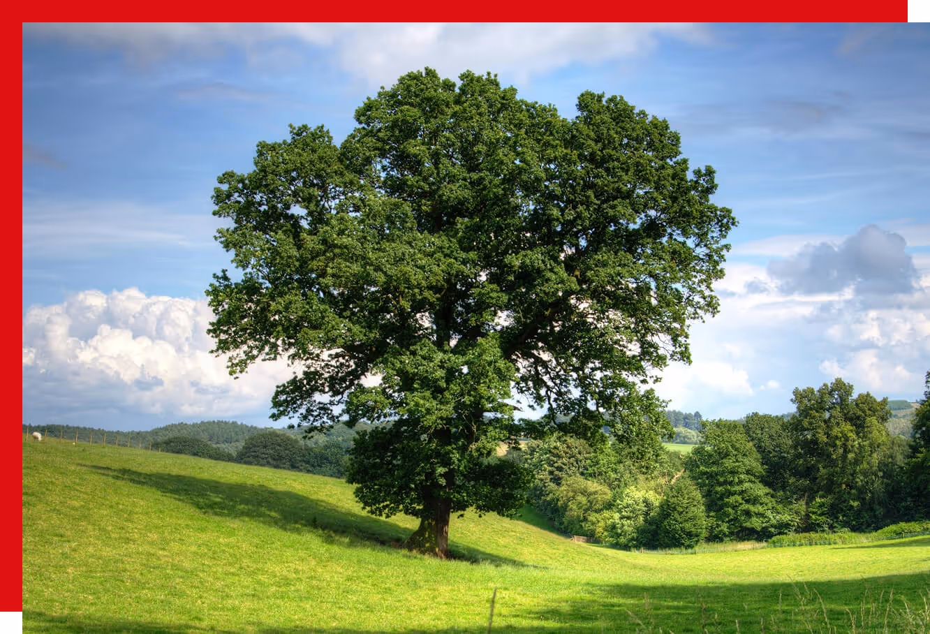 Our ESG strategy integrates sustainability, ethical sourcing, and carbon-conscious logistics across the full supply chain — setting a new standard for accountability in the wire and cable industry.
