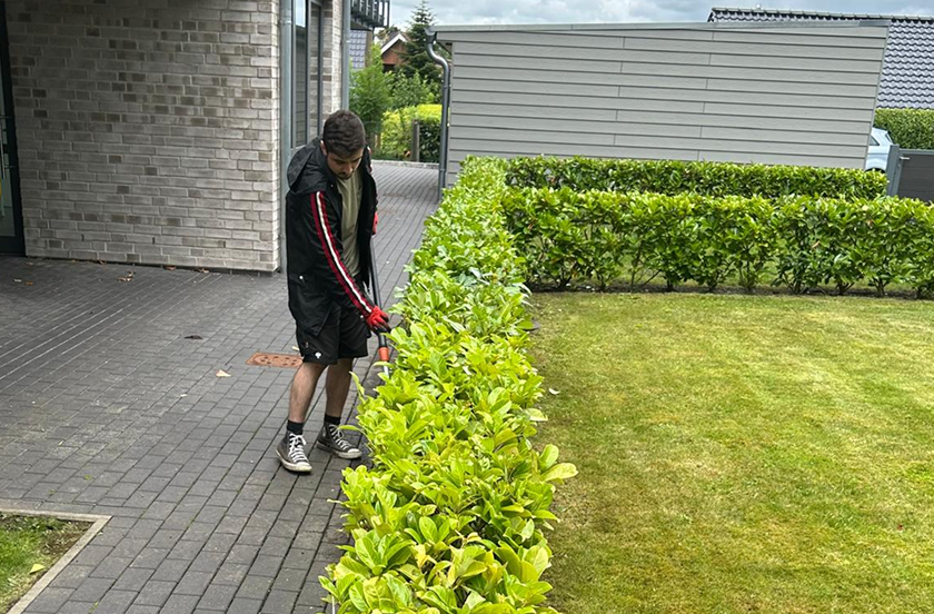 Junger Mann schneidet mit Handschuhen eine grüne Hecke in einem Garten neben einem gepflasterten Weg.