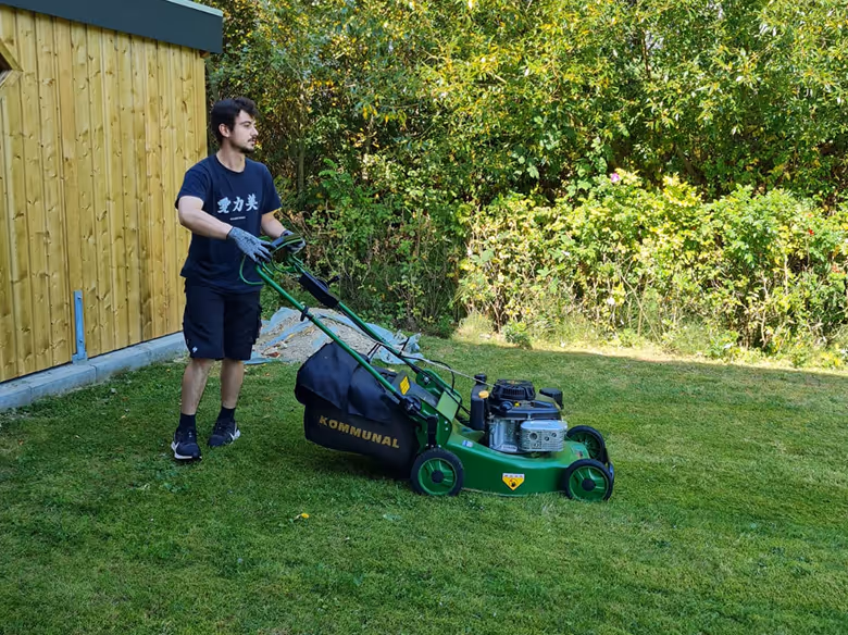 Mann mäht Rasen mit einem grünen Benzin-Rasenmäher neben einem Holzschuppen.
