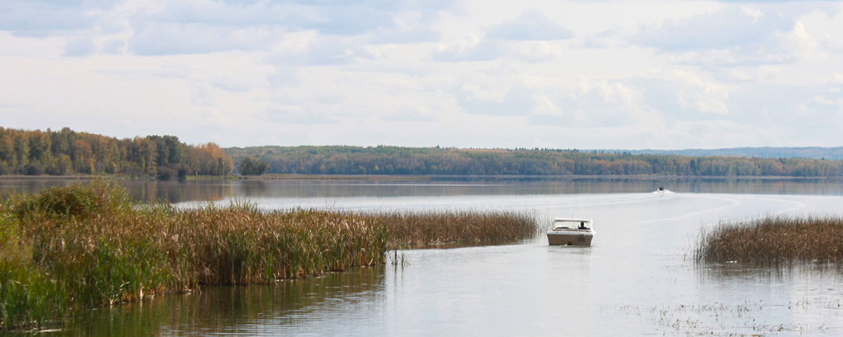 Project Single Image