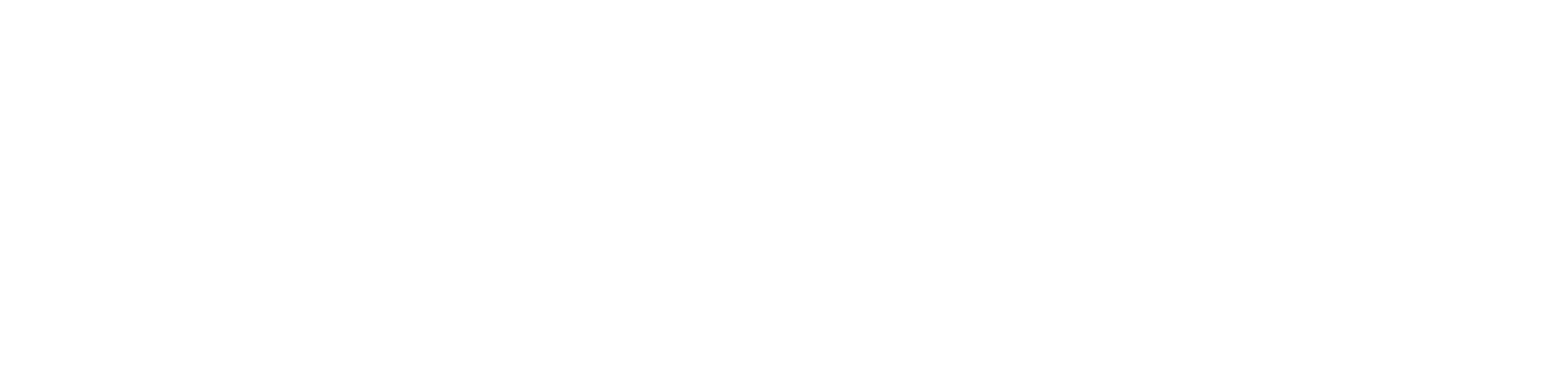Horizontal Reversed