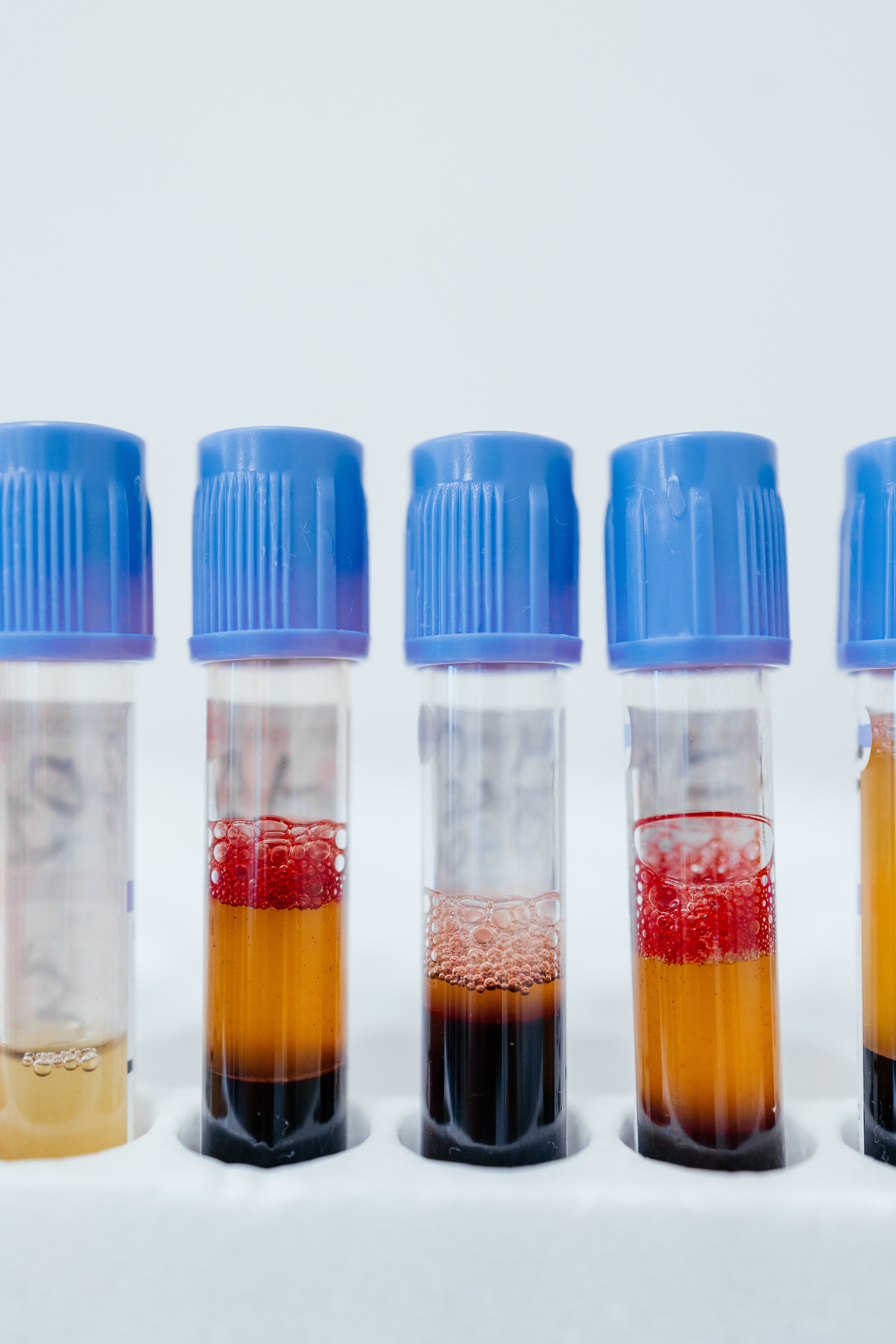 Lab Services