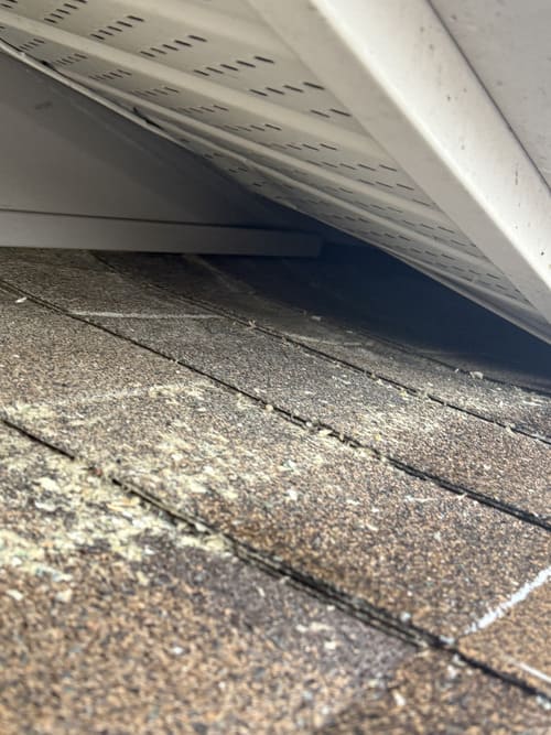 Roof vent ripped open by raccoon