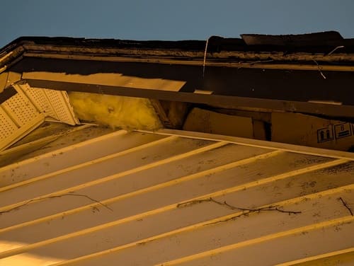 Roof vent ripped open by raccoon