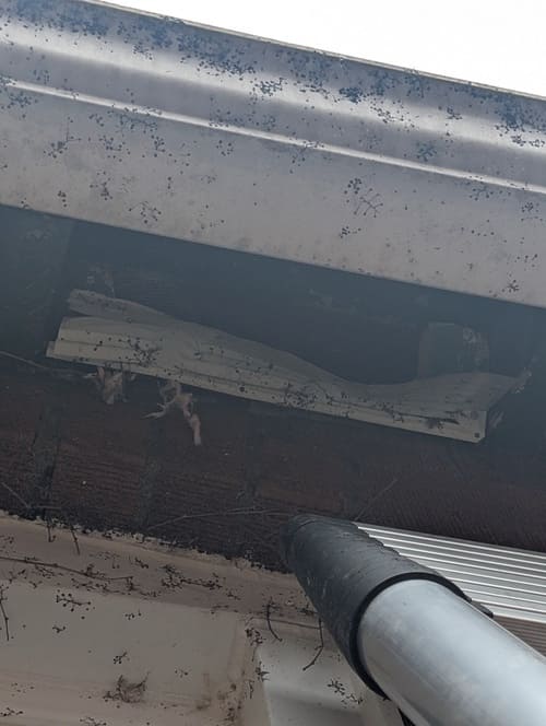 Roof vent ripped open by raccoon