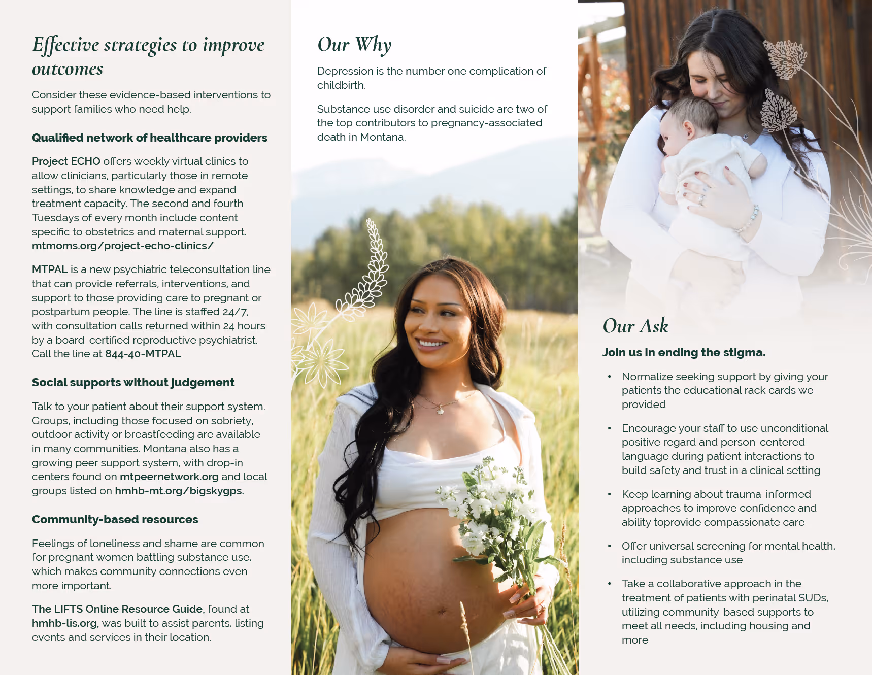 Trifold Branding & Design - Inside