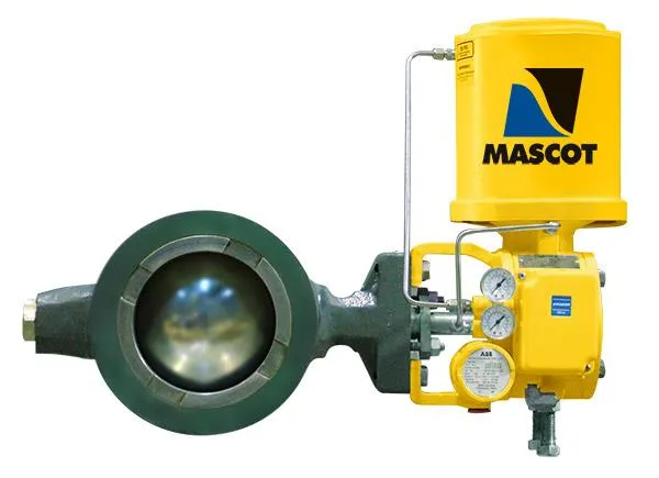 VFLO V-Ball Control Valve