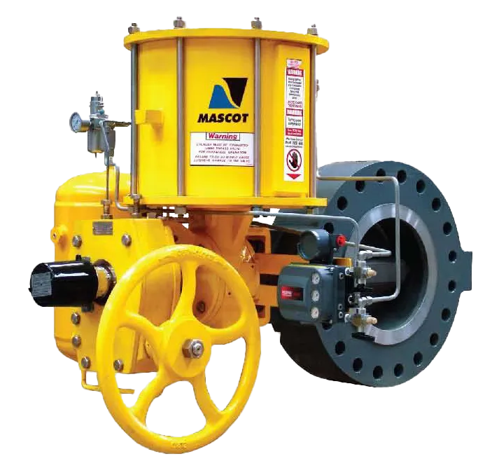 DISKFLO High Performance Butterfly Valve