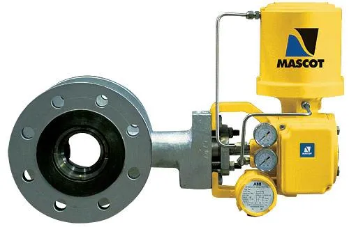 EFLO Eccentric Plug Control Valve