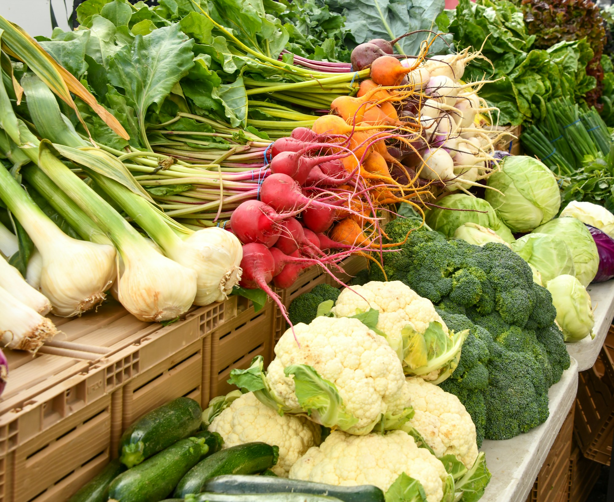 wilson-county-farmers-markets food image