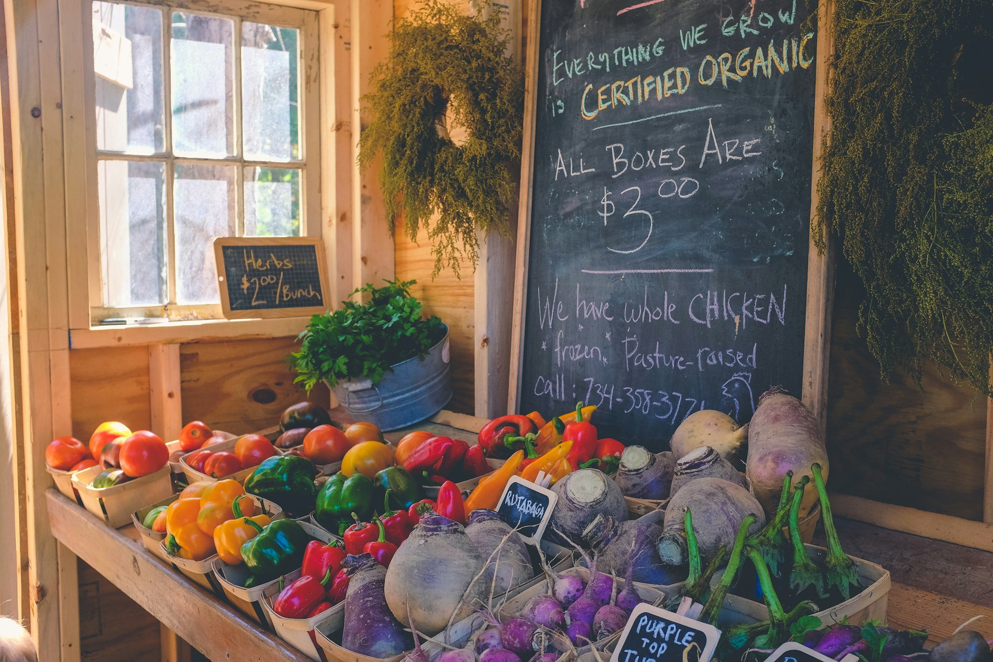 farmers market vegetables generic