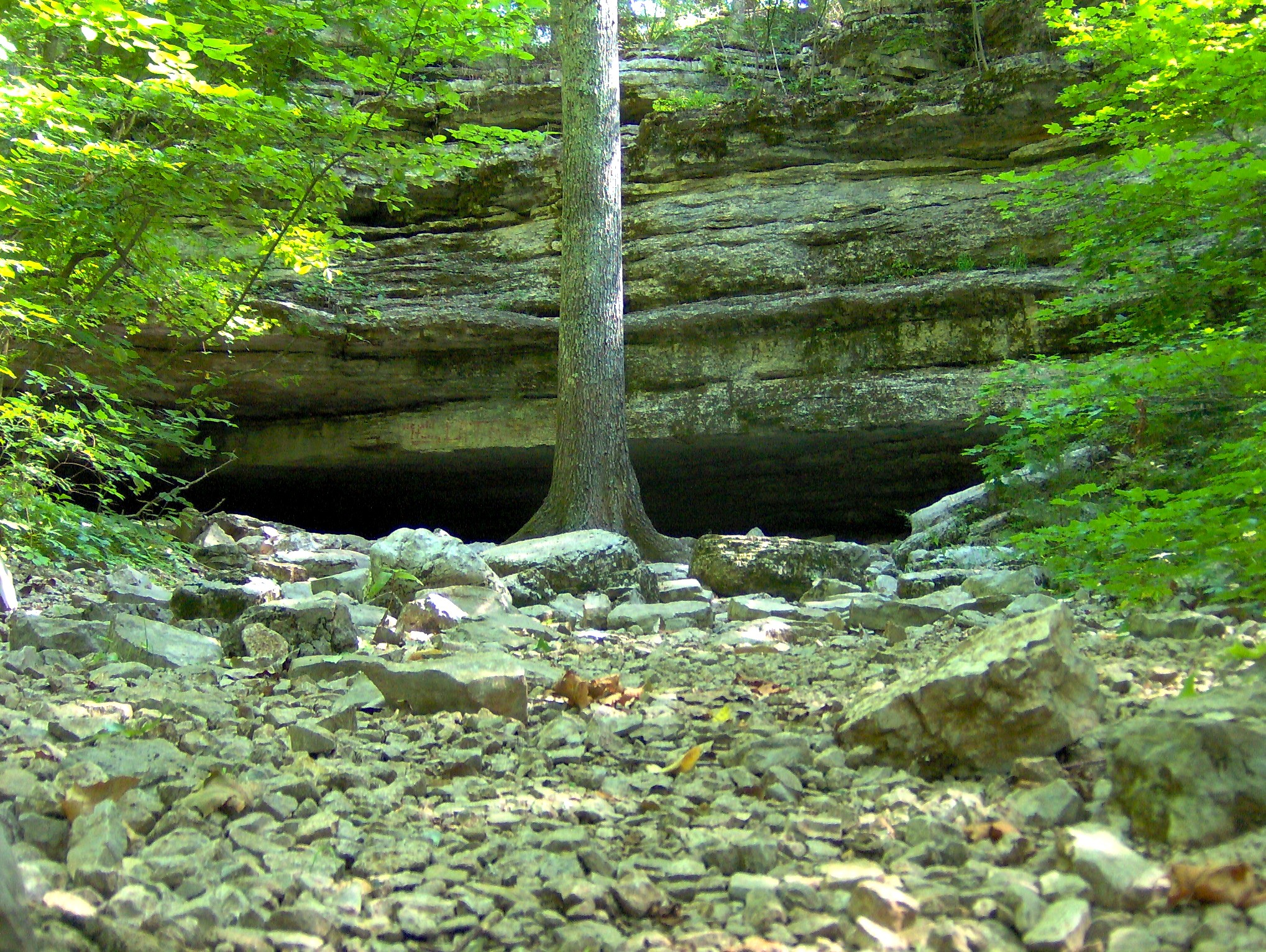 Jackson Cave interior, Cedars of Lebanon SP