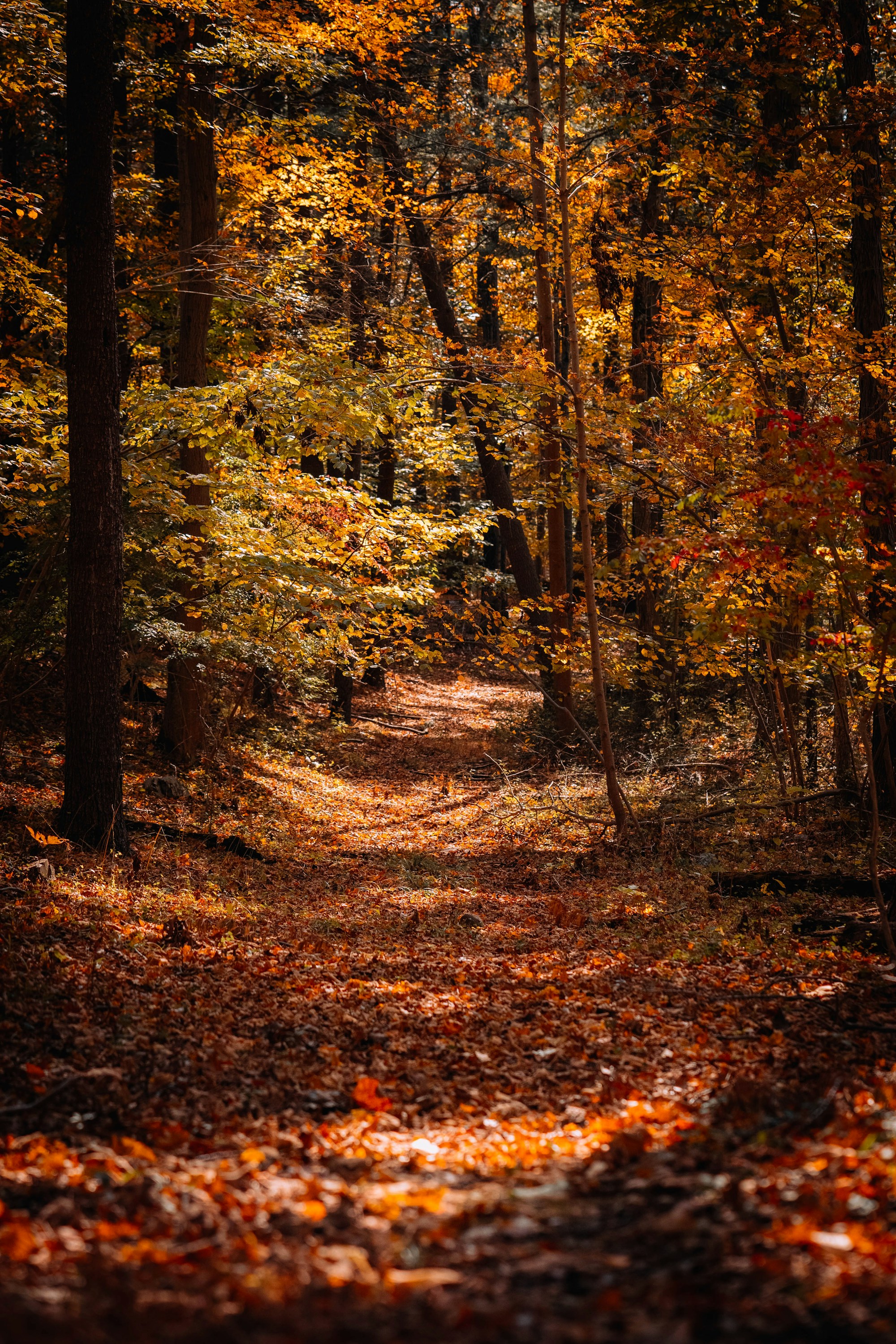 A Year in Wilson County: What Each Season Looks Like (2026 Guide) cover