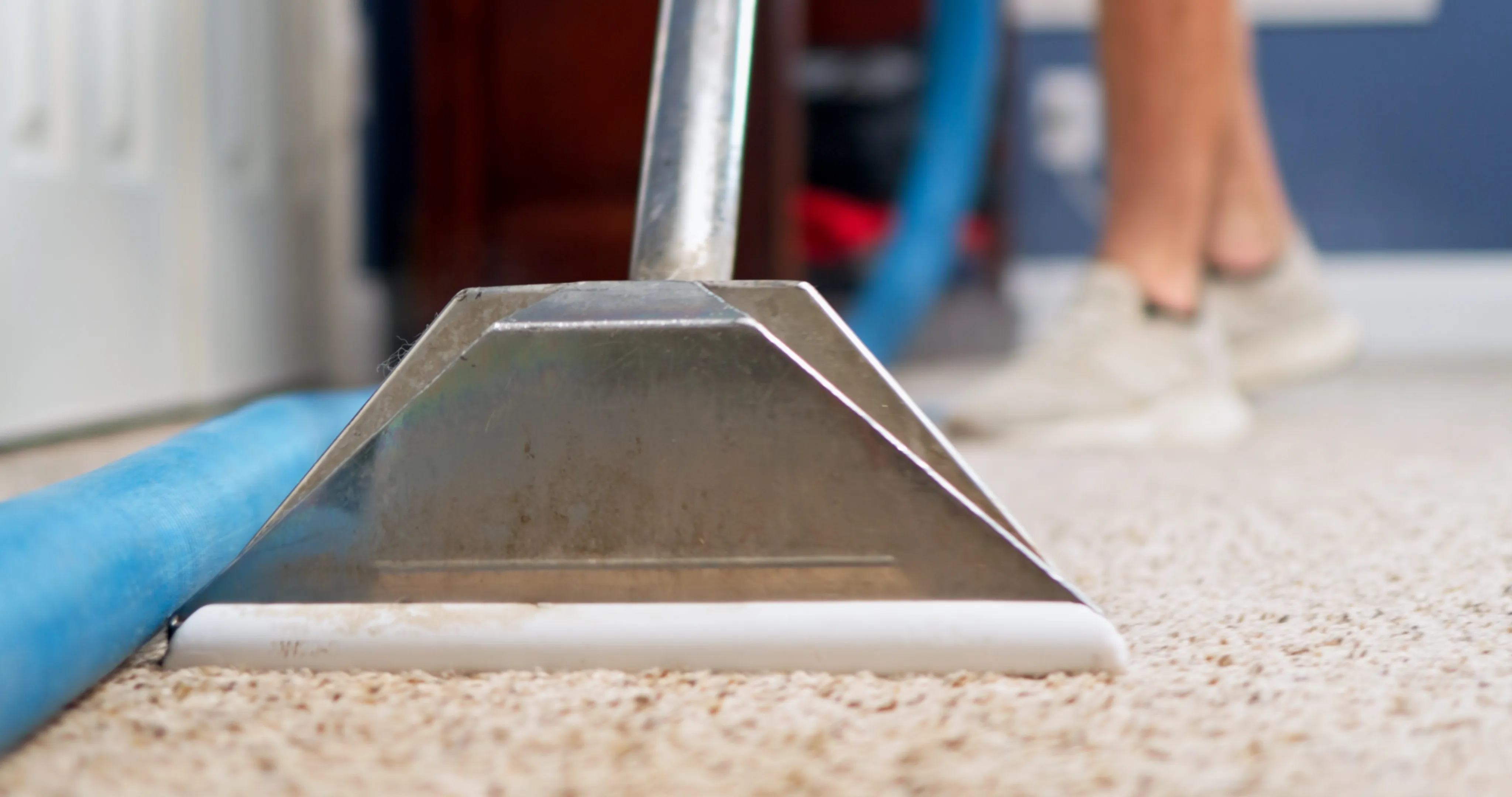 cleaning carpet