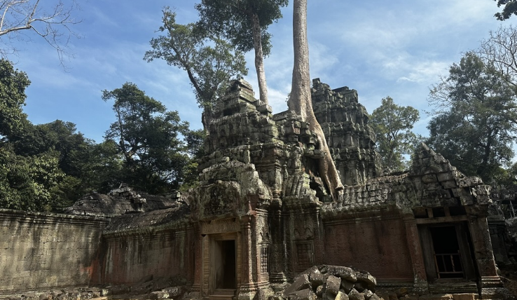 The Deadly Reality of Snakebites in Cambodia—and Why Local Knowledge Matters