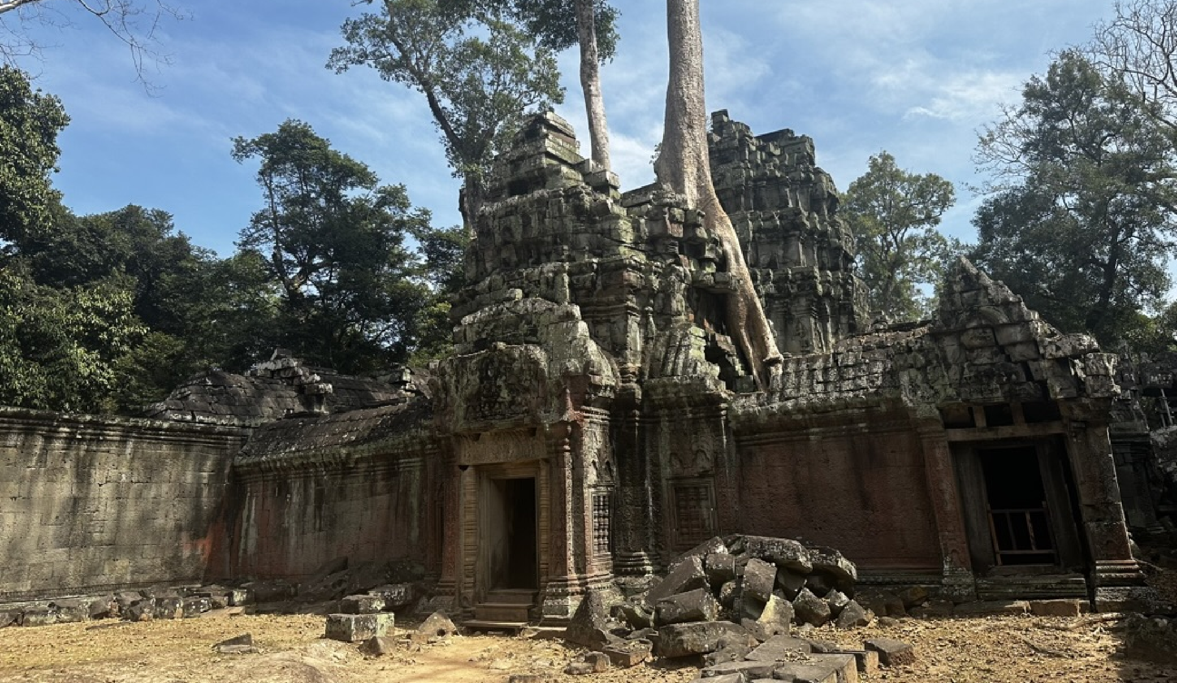 The Deadly Reality of Snakebites in Cambodia—and Why Local Knowledge Matters