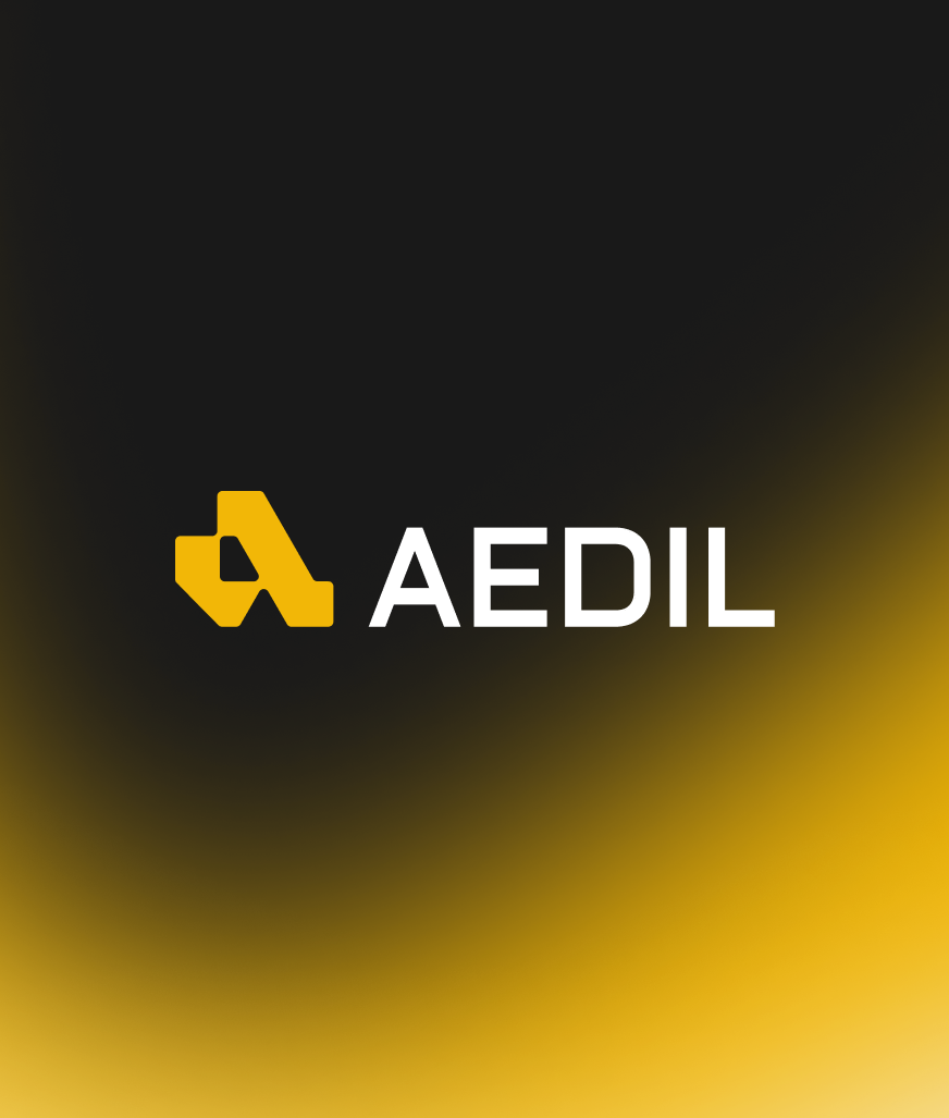 Aedil branding and presentation design by 100PitchDecks