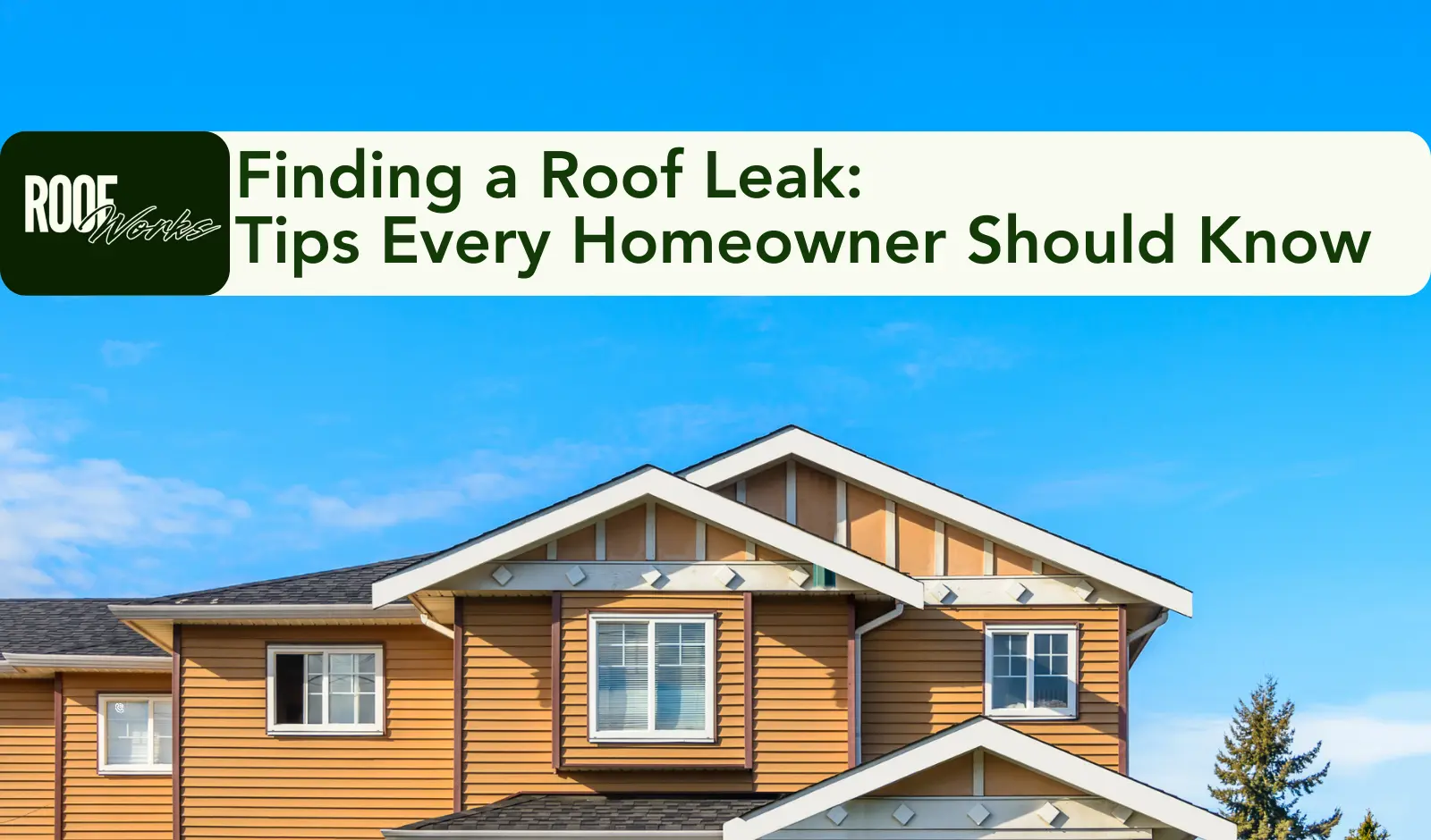 Finding a Roof Leak: Tips Every Homeowner Should Know