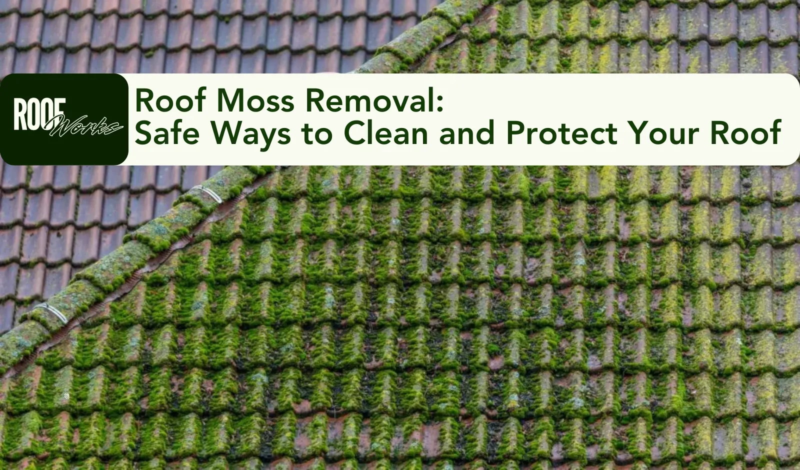 Roof Moss Removal: Safe Ways to Clean and Protect Your Roof