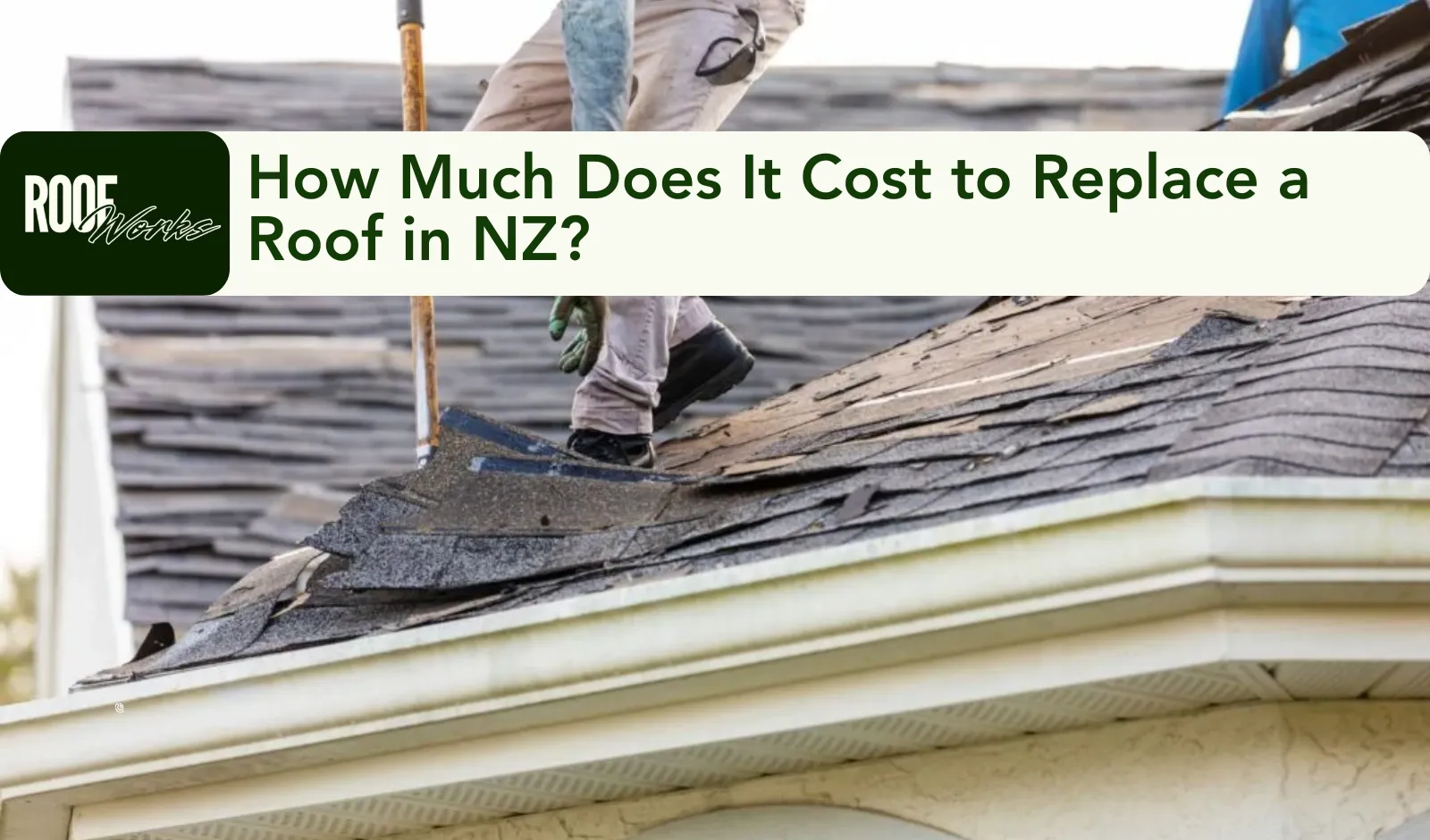 How Much Does It Cost to Replace a Roof in NZ?