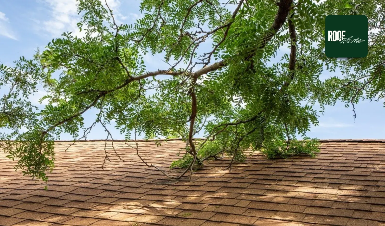 How to Clean Your Roof Safely and Why It Matters