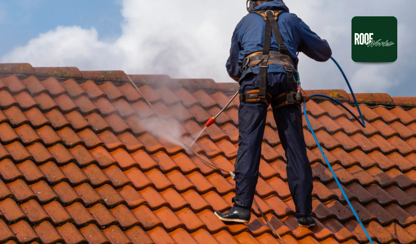 Understanding Roof Cleaning Cost in New Zealand