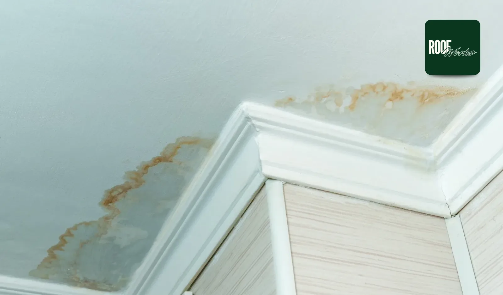Water Damage in Roof: Causes and Fixes Explained