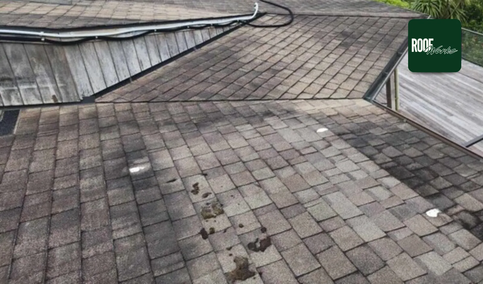 Roof Storm Damage in Auckland: Learn What to Do Next