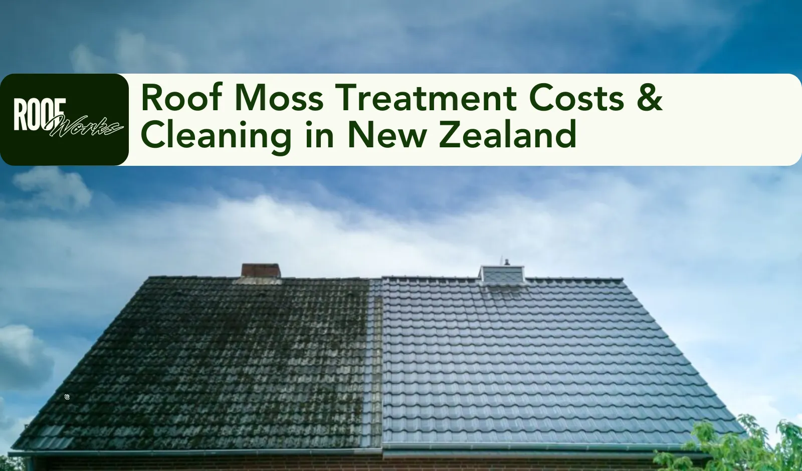 Roof Moss Treatment Costs & Cleaning in New Zealand