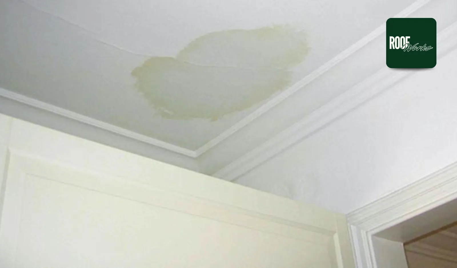 Water Dripping Through Ceiling: Essential Guide for NZ Homes