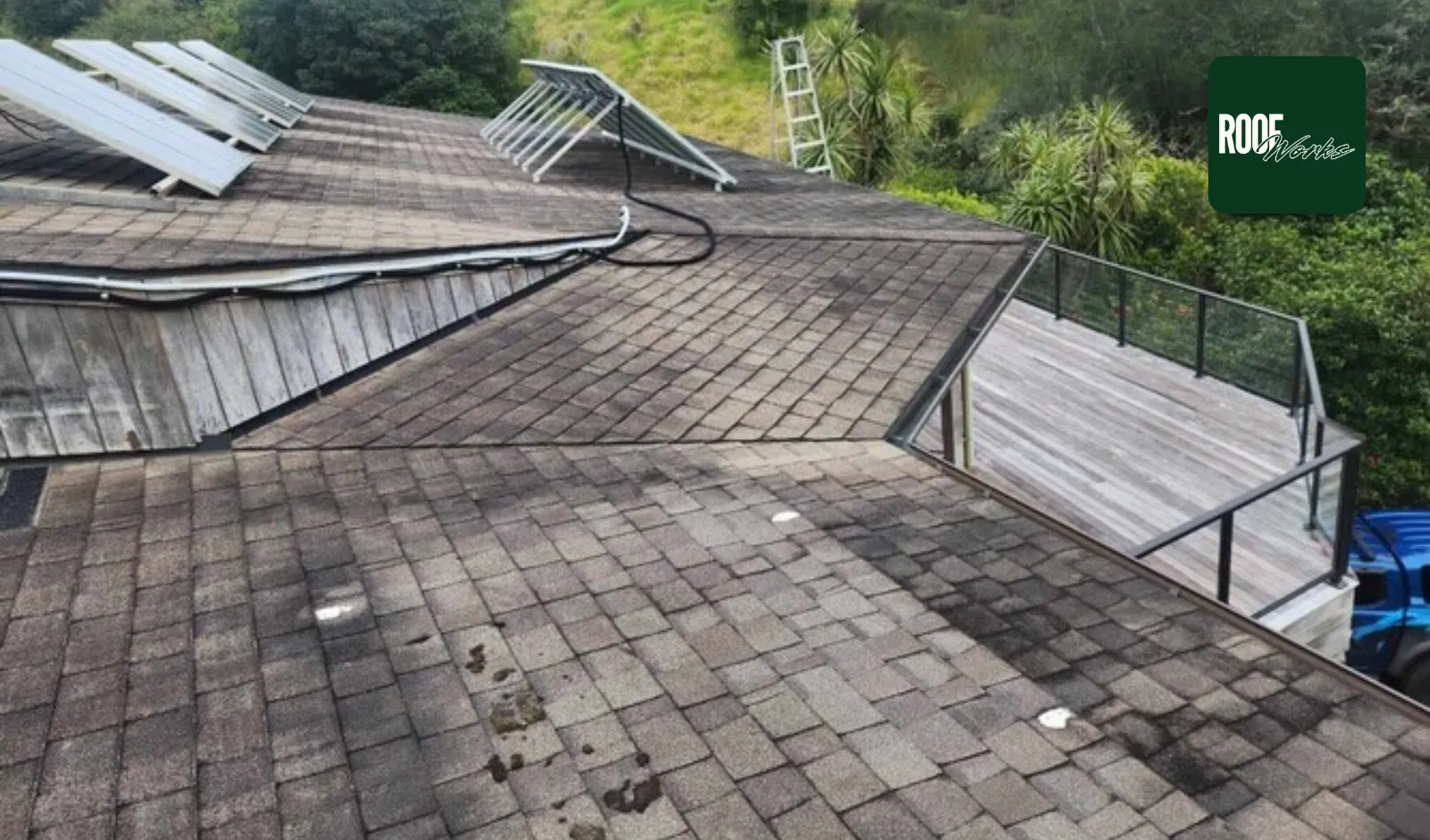 Do I Need a New Roof? Warning Signs to Watch For