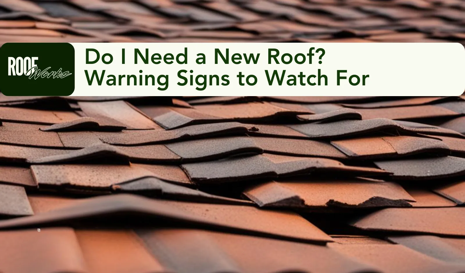 Do I Need a New Roof? Warning Signs to Watch For