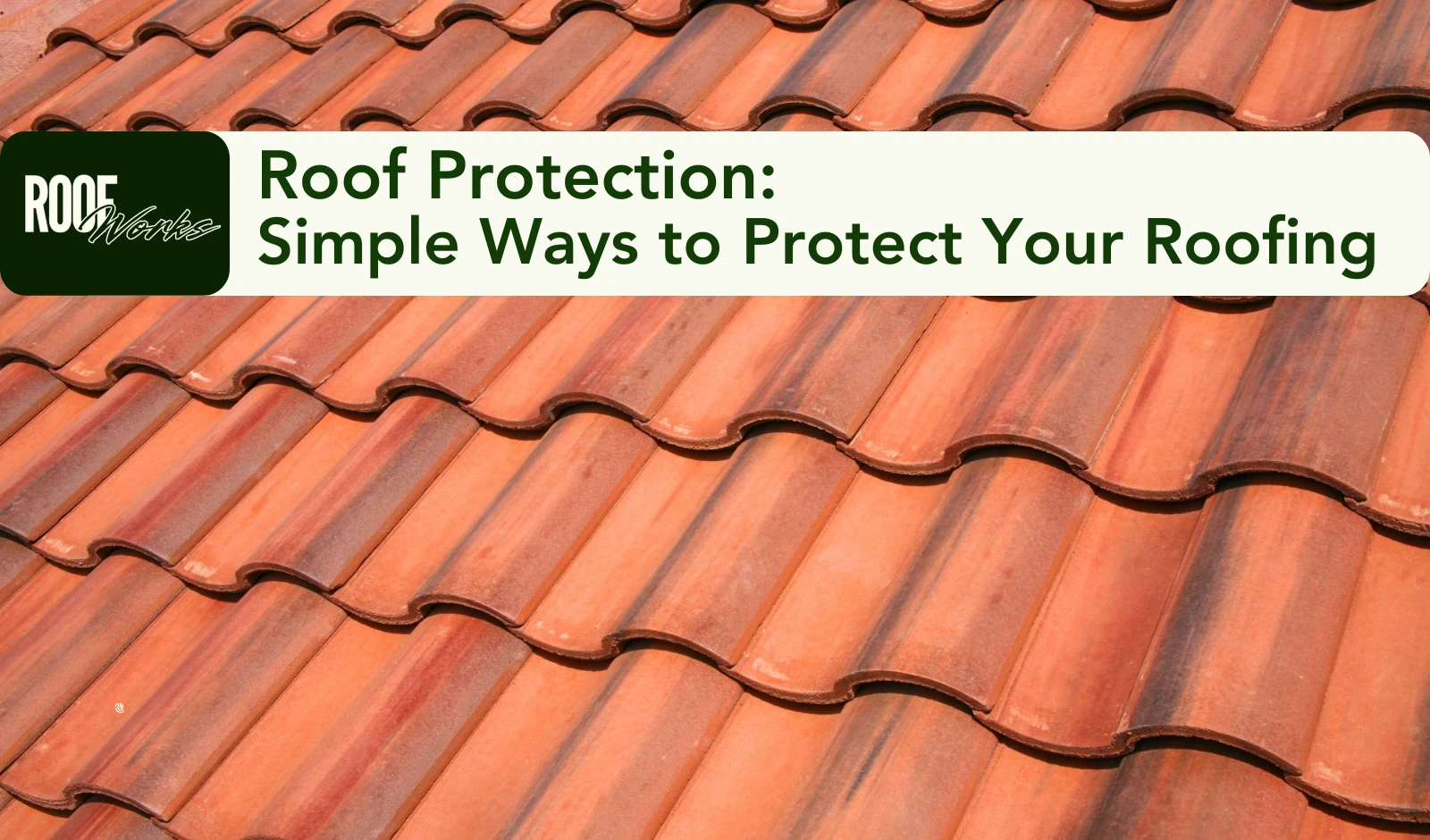 Roof Protection: Simple Ways to Protect Your Roofing