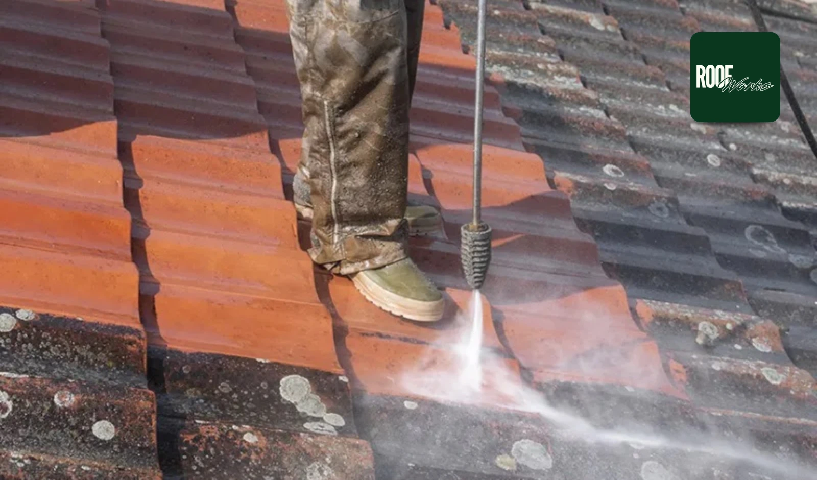 Safe Way to Remove Lichen From Metal Roof