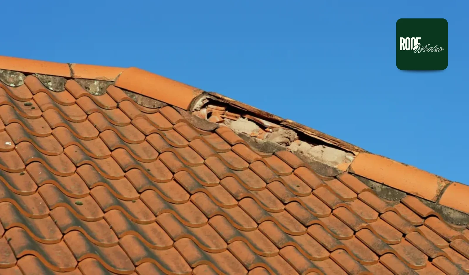 Importance of Roof Maintenance for Every Home