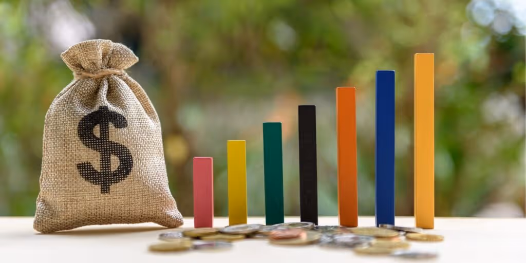 budget graph and money bags