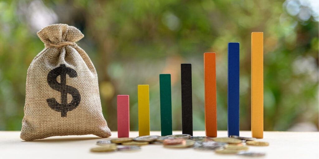 budget graph and money bags