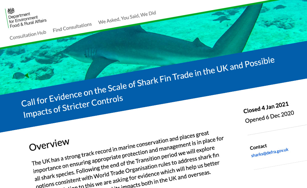 call for evidence on sharks