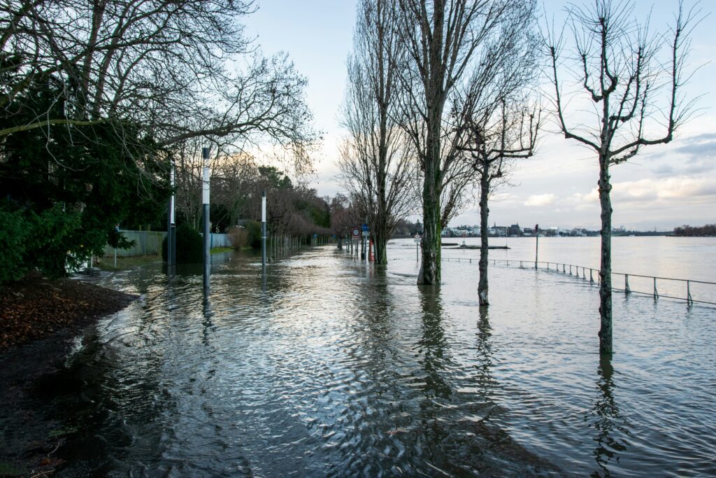 rural wooded area flooded