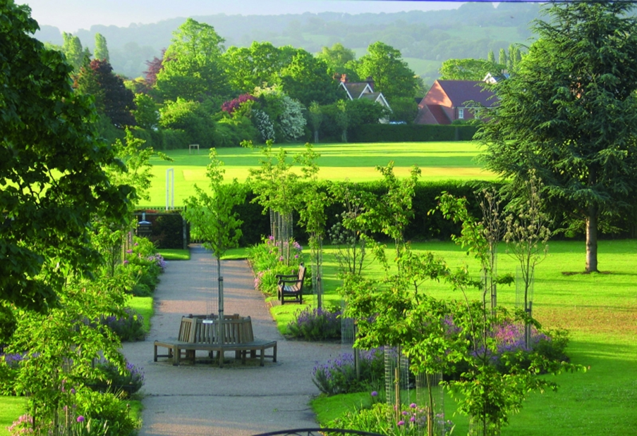 park in the middle of a city 