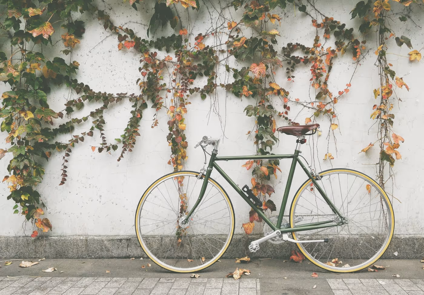 a bike positioned in front of a pretty wall with flowers
