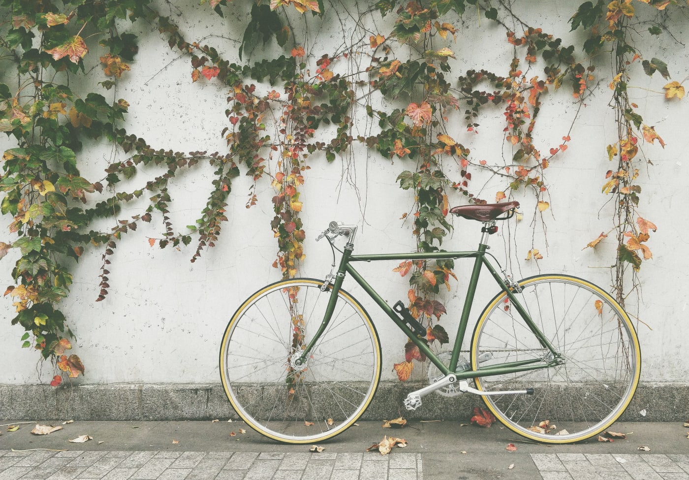 a bike positioned in front of a pretty wall  with flowers 
