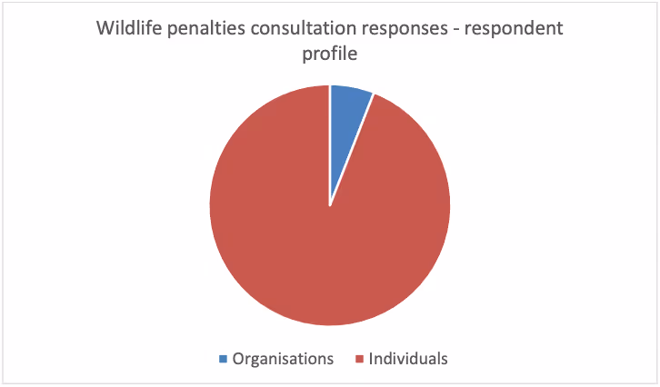 Pie chart displaying respondent type (organisation or individual) from the Scottish Government's consultation report on wildlife crime penalties. Individuals made up the majority of respondents.