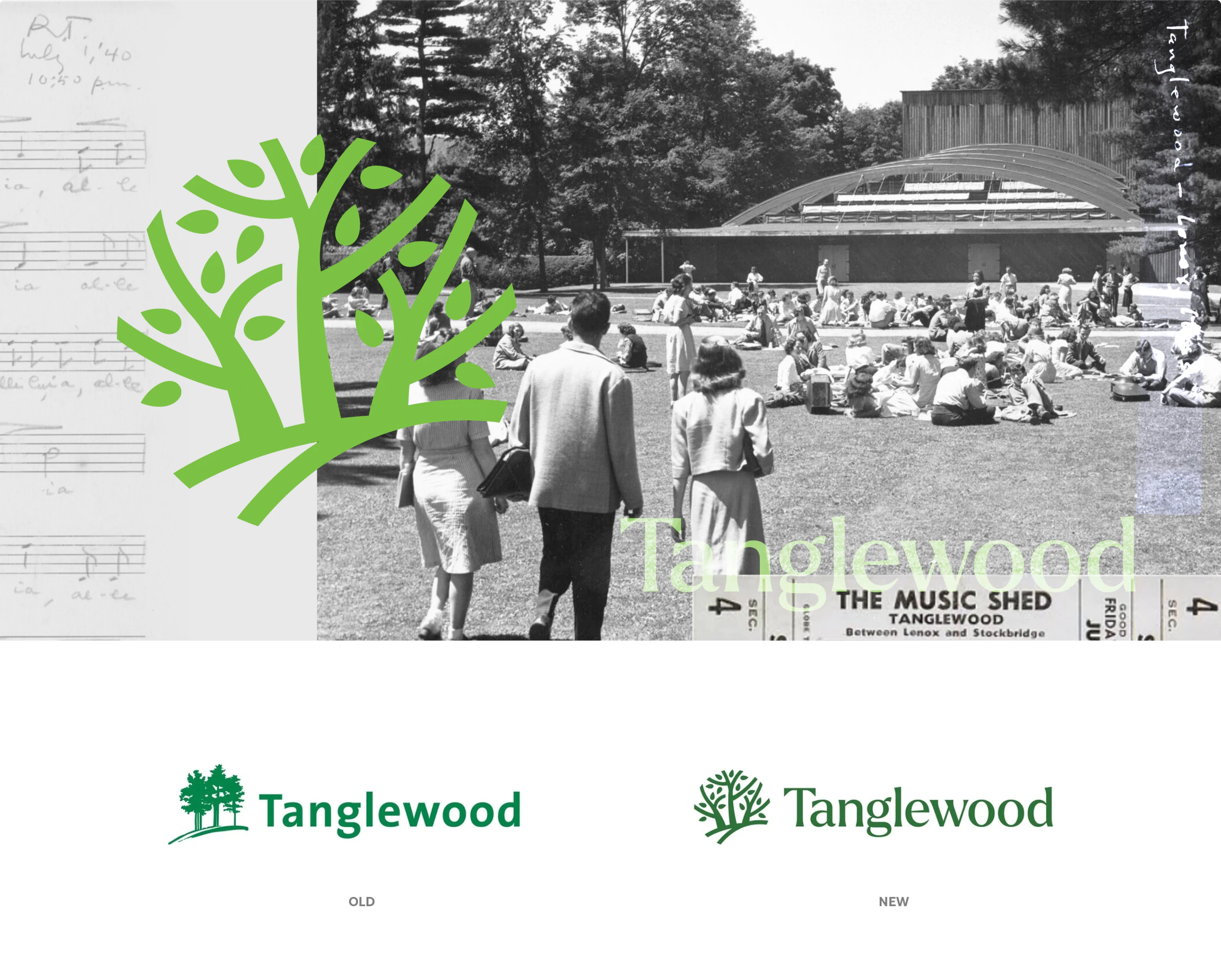 Old and new logos for Tanglewood, The design is a part of the BSO Brand Identity designed by Colossus Creative Co.