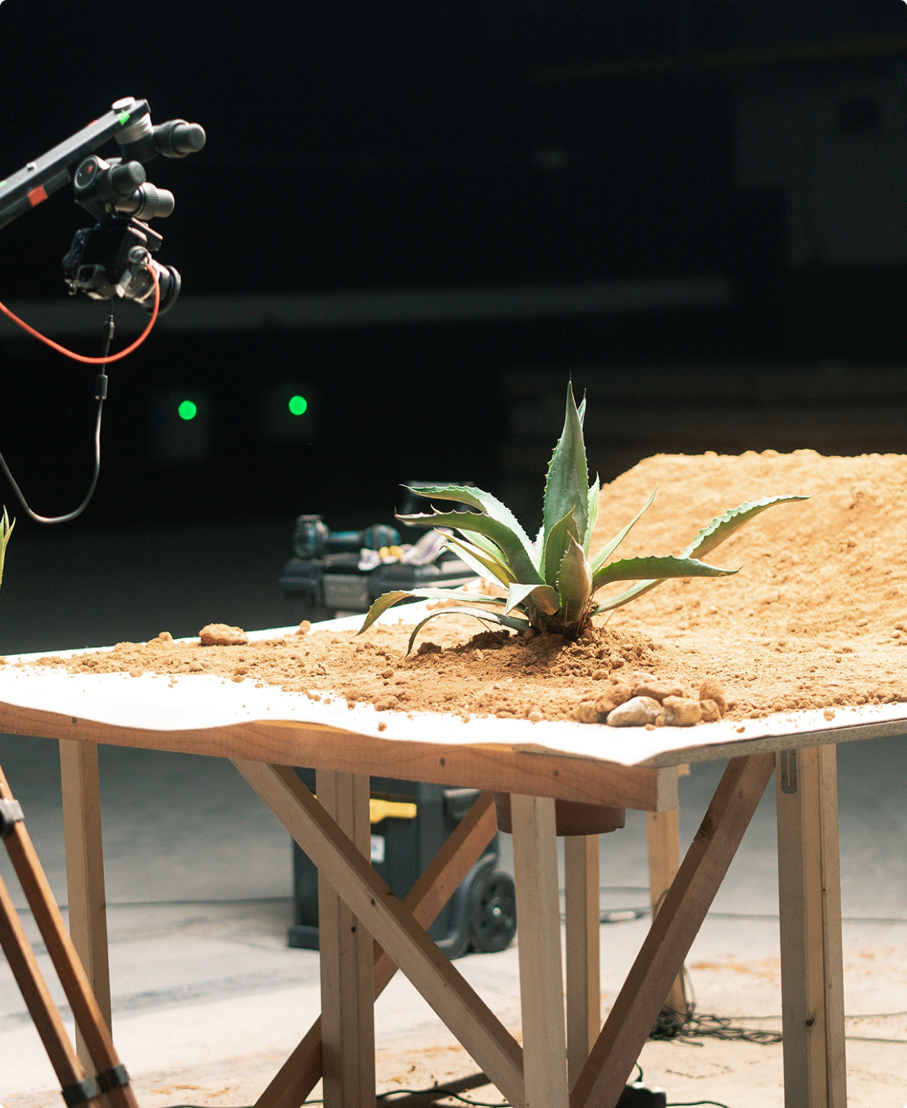 Behind the scenes view of the stop-motion production process used during the Cantera Negra commercial shoot. We see a camera mounted overhead of a small agave plant growing up through the soil.
